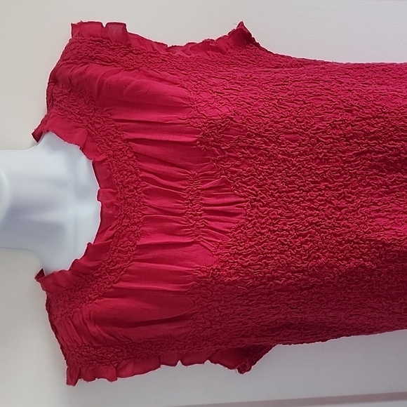 NWT Anthropologie Ruffle trim textured stretch mini dress size medium - Picture 3 of 7